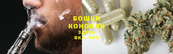 стафф Корсаков