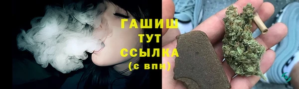стафф Корсаков