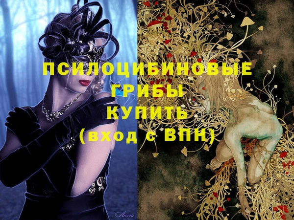 мяу мяу мука Костерёво