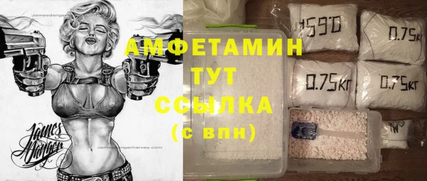 стафф Корсаков
