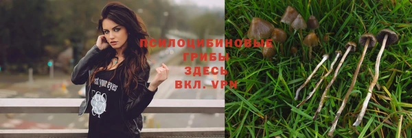 МДПВ Кодинск