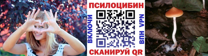 Псилоцибиновые грибы мицелий  Купить  Буинск 